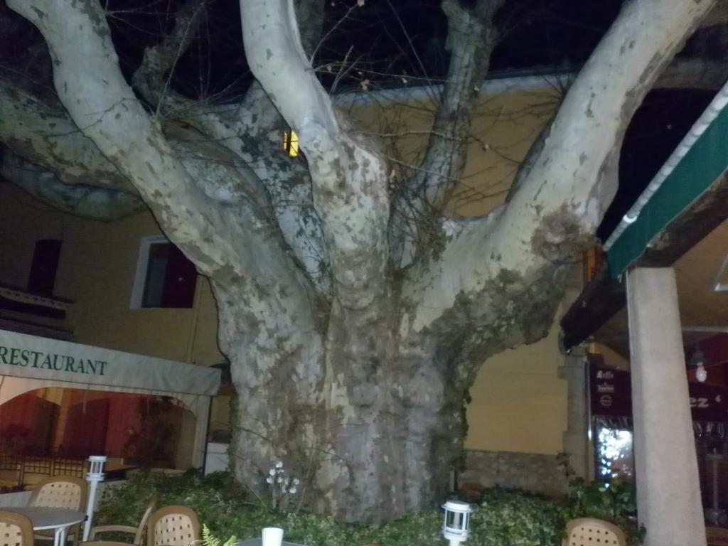 格朗德酒店 阿尔卑斯 外观 照片